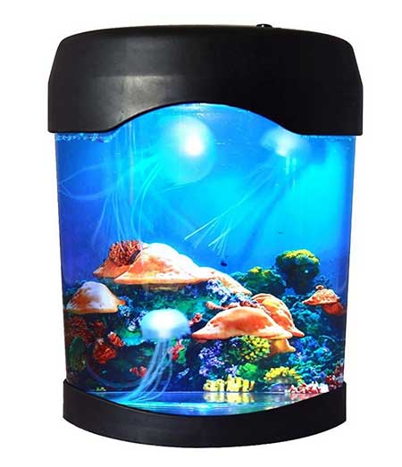 The Best Fake Fish Tank For Cats Reviews Buying Guide 2020