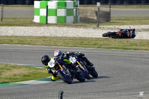 "Nano malefico" v travi