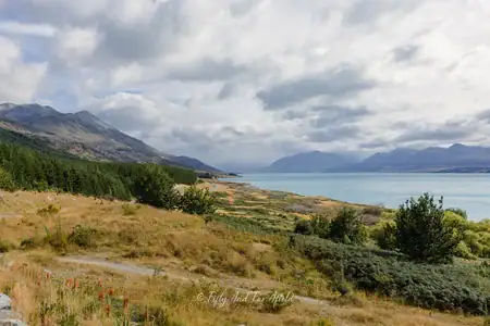 Overlooking Lake Pukaki on a cloudy day from the Beach Lookout. A view of the strikingly turquoise waters of Lake Pukaki stretching towards hazy mountains under an overcast sky, with dry, golden hills and patches of green vegetation in the foreground, as seen from the Lake Pukaki Beach Lookout.