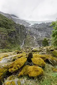 Moss-covered rocks and a distant view of Rob Roy Glacier from the track. A landscape view with mossy rocks and tussock grass in the foreground, leading to steep mountains with a glacier and waterfalls visible in the distance under an overcast sky.
