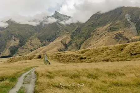 Hikers on the Rob Roy's Glacier Track, Mt Aspiring National Park, New Zealand. Photo copyright Anna Jackowska. A view of a path with hikers in the distance, surrounded by golden tussock grass, along the Rob Roy's Glacier Track in Mt Aspiring National Park, with mountains partially obscured by clouds in the background.