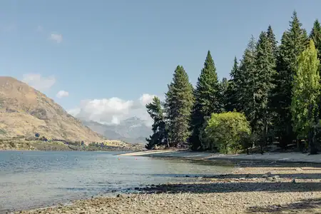 The picturesque shoreline of Lake Wanaka, New Zealand. Photo copyright Anna Jackowska. A view of the rocky and sandy shoreline of Lake Wanaka, with calm blue water, various green trees lining the shore, and hazy mountains in the distance under a blue sky with a few clouds.