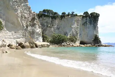 Dramatic cliffs and turquoise waters at Stingray Bay, Coromandel Peninsula. A sandy beach and clear turquoise water in Stingray Bay, with tall, white limestone cliffs rising behind it, topped with green vegetation, under a blue sky.