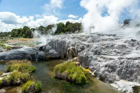 The powerful Pohutu Geyser at Te Puia in Rotorua, a stunning display of New Zealand's geothermal activity. Panoramic view of Pohutu Geyser steaming at Te Puia in Rotorua, with white geothermal terraces and green pools.