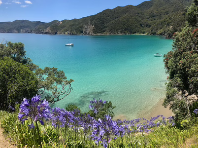 A quiet turquoise bay dotted with boats, framed by summer blooms and native bush in New Zealand. Turquoise Oke Bay in New Zealand framed by purple agapanthus flowers, lush green hills, and two boats anchored in the calm water.