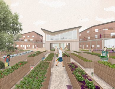 Community gardening space in a modern residential complex with healthy plants and engaged families.