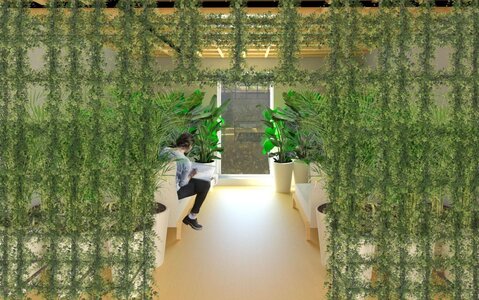 Modern indoor space with lush greenery, white benches, and wooden beams creating a serene atmosphere.