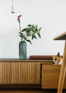 Minimalist interior with a wooden sideboard, black vase, and a Chihuahua in an open drawer.