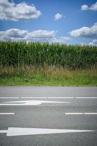 Straße ins Maisfeld