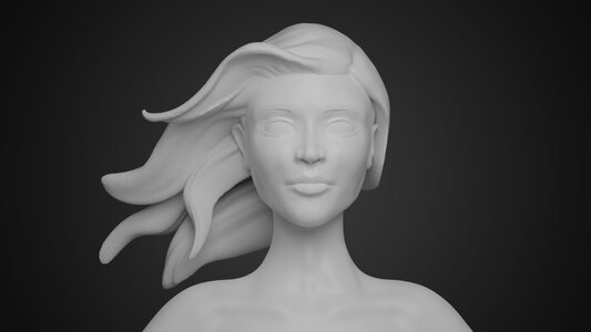 Model Practice