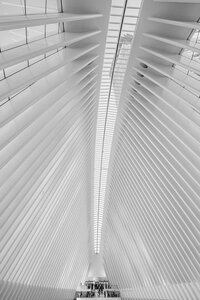Oculus New York