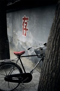 Beijing Peking Fahrrad