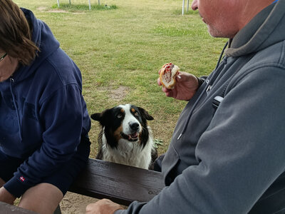 Anton´s Wurst-Blick