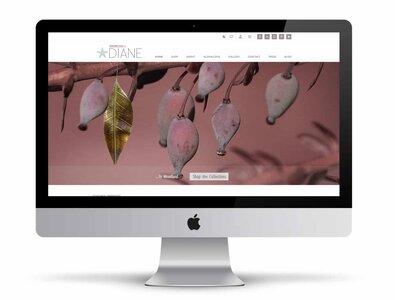 E-commerce website for contemporary art jewelry.
Client: Designs by Diane
<hr /> E-commerce website for contemporary art jewelry.