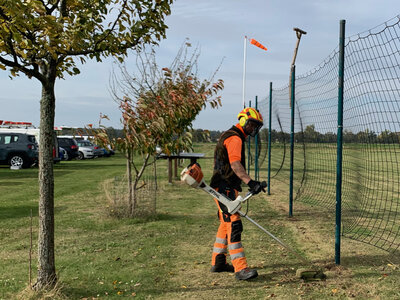 Rasentrimmen am Netz