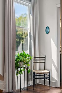 Bright interior with window, green plant, and vintage wooden chair for relaxation.