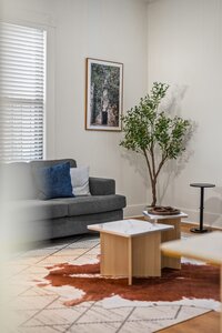 Bright, welcoming living room featuring comfortable sofa, stylish coffee table, and lush indoor plant.