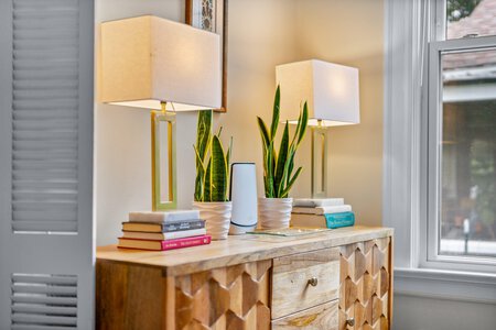 Elegant sideboard with table lamps and potted greenery in a cozy home setting.