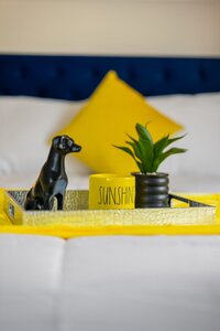 Decorative bedroom tray with black dog figurine, green plant, and "Sunshine" mug for stylish home design.