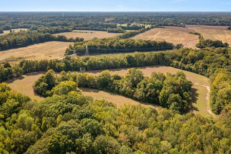 Aerial view of expansive farmland and dense green forests, showcasing natural beauty and tranquility.