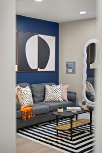 Contemporary living room featuring a gray sofa, trendy black and white pillows, and colorful wall art.