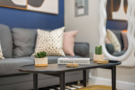 Stylish living room with sofa, decorative pillows, and trendy decor accents.