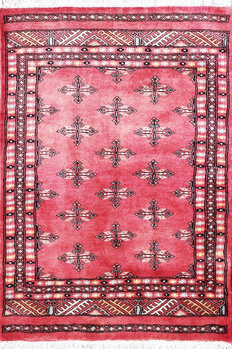 Bochara - Teppich aus Pakistan,  Schurwolle, Größe: 80x118cm Sonderpreis: € 223,-