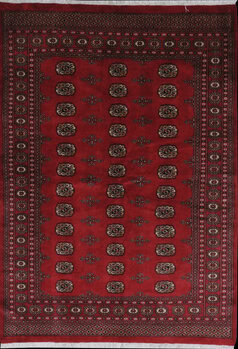 Bochara - Teppich aus Pakistan,  Schurwolle, Größe: 169x237cm Sonderpreis: € 589,-
