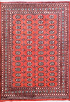 Bochara - Teppich aus Pakistan,  Schurwolle, Größe: 170x242cm Sonderpreis: € 863,-