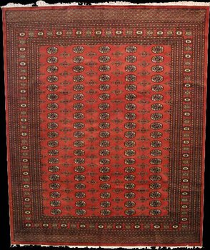 Bochara - Teppich aus Pakistan,  Schurwolle, Größe: 247x299cm Sonderpreis: € 814,-