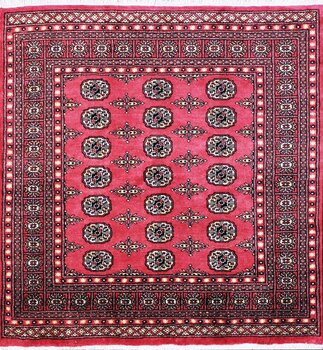 Bochara - Teppich aus Pakistan,  Schurwolle, Größe: 156x162cm Sonderpreis: € 530,-