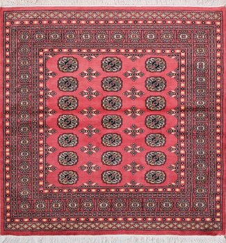 Bochara - Teppich aus Pakistan,  Schurwolle, Größe: 154x156cm Sonderpreis: € 504,-