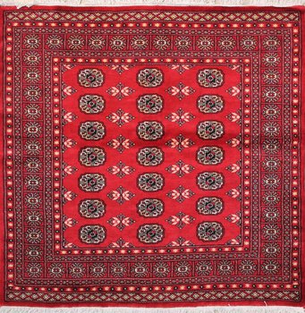 Bochara - Teppich aus Pakistan,  Schurwolle, Größe: 157x155cm Sonderpreis: € 510,-