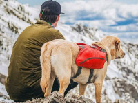Best Dog Backpack for Hiking: My Personal Reviews of Top Items