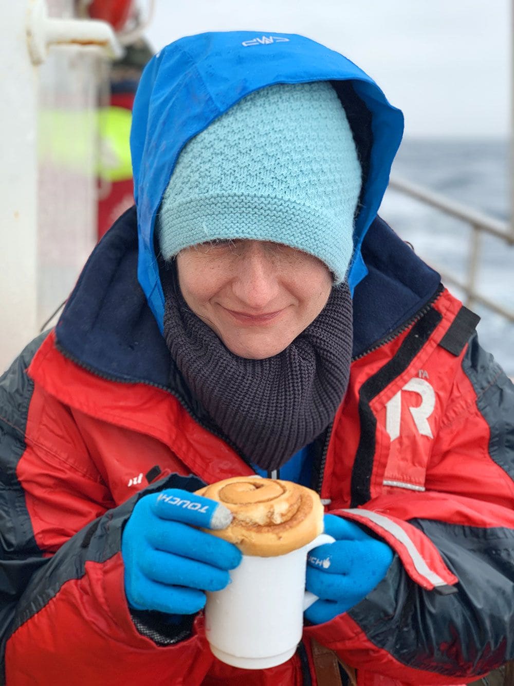 Avistamiento de ballenas en Islandia - Bollito de canela y chocolate