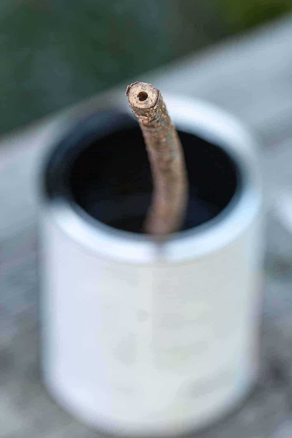 Tür mit Tafelfarbe streichen - DIY für ein großes Blackbord im Garten