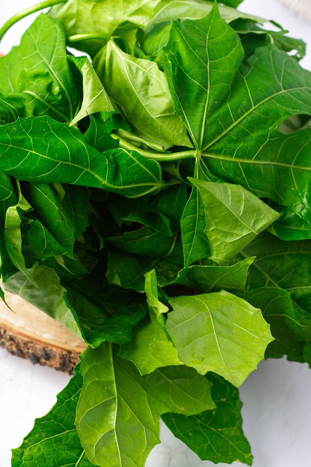 Steamed Chaya Spinach Tree Healthier Steps