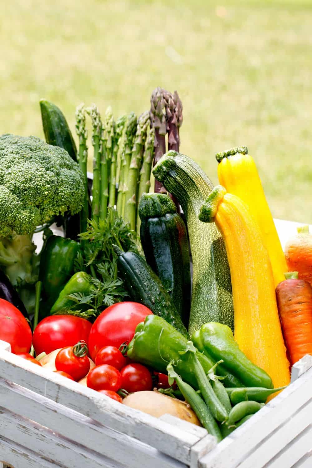 Get Your Garden Growing this summer with this Printable Vegetable Gardening Guide. This free gardening guide will help guide you in planting a spring garden.