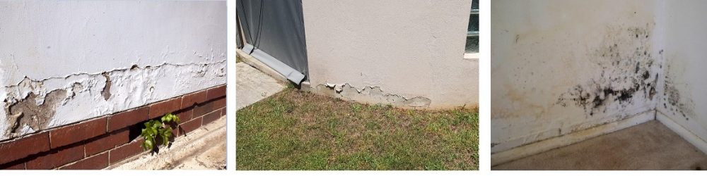 Signs Of Damp Signs Of Damp