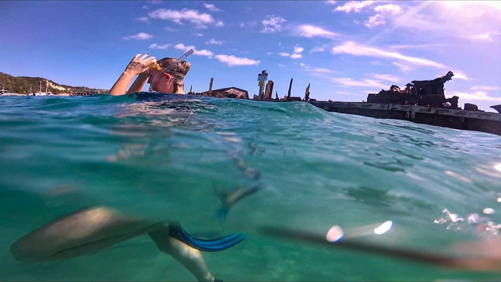 Snorkeling at Tangalooma wrecks