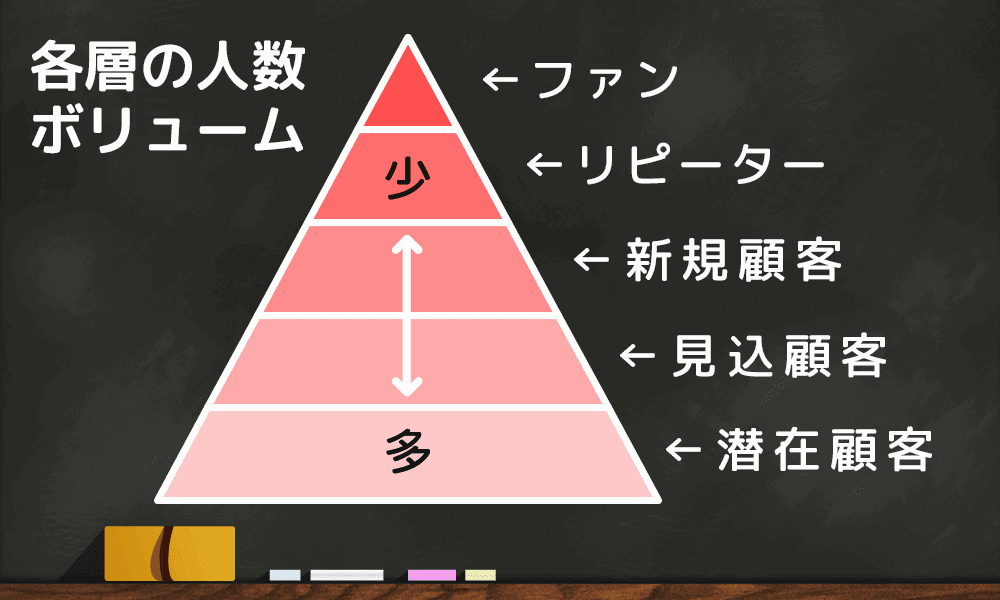 ピラミッド型分析による人数ボリューム