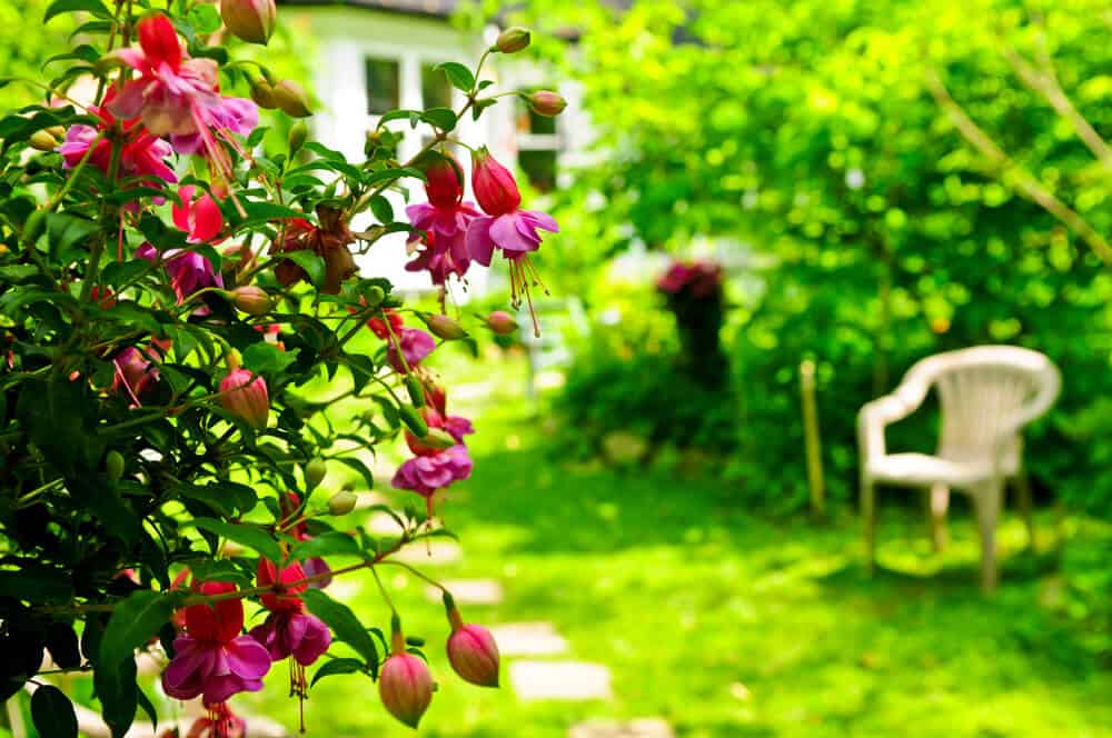 4 Useful Tips For Creating A Truly Lush Garden