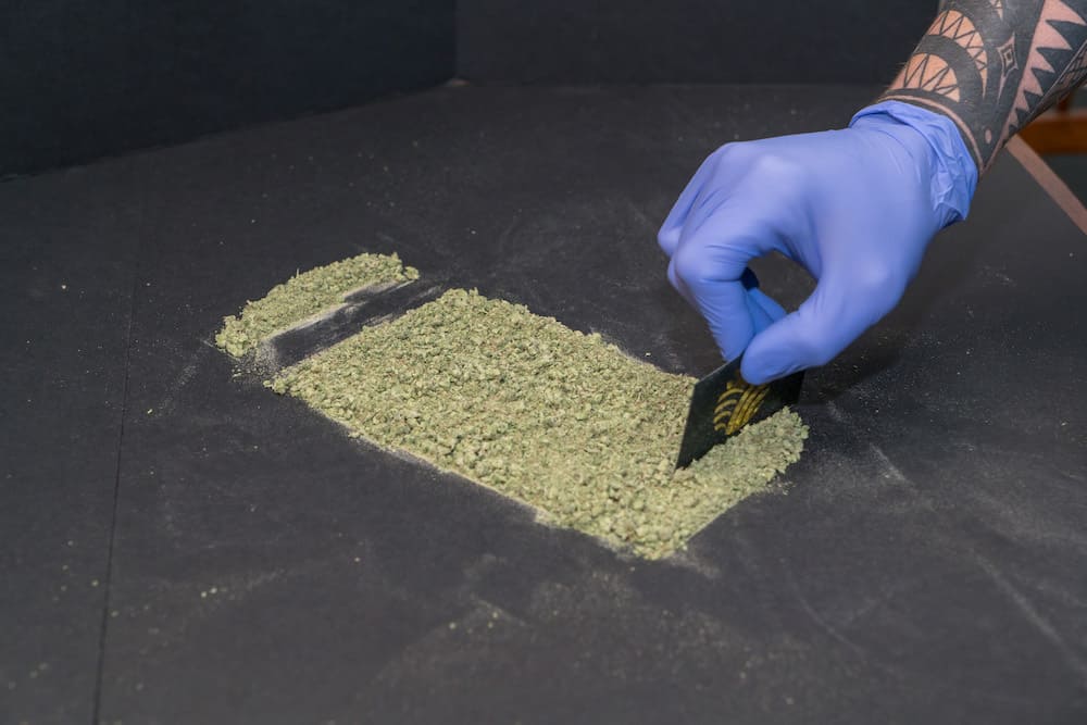 Putting THC Testing in Oregon to the Test