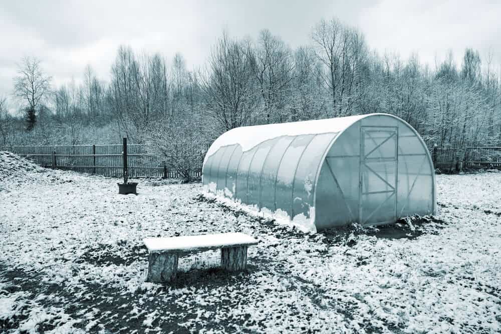 Jobs In The Garden For January
