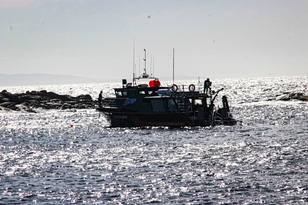 Adventure Bay cage diving boat