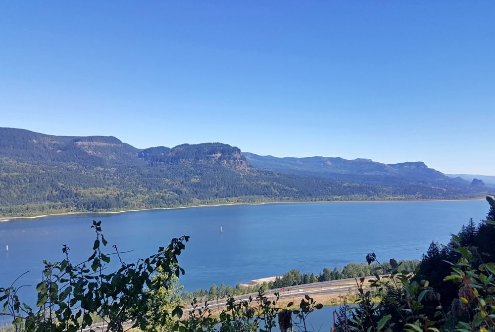 View of the Columbia River Gorge from Lemmon's Viewpoint