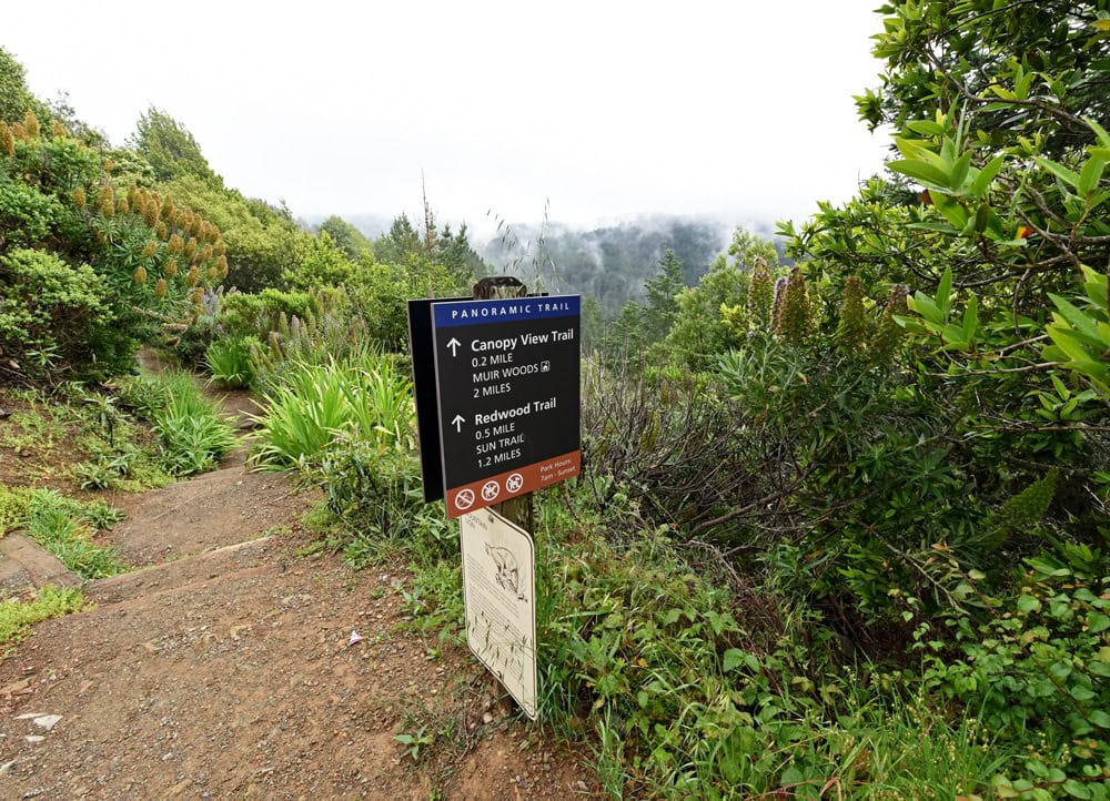Trailhead towards Muir Woods from Mountain Home Inn