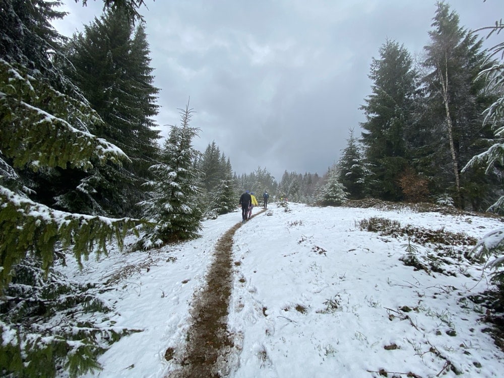 Fun Karpaty Dynafit Trail 2021: коли все не за планом, але ти задоволений 9 Часть трека Fun Karpaty Dynafit Trail 2021