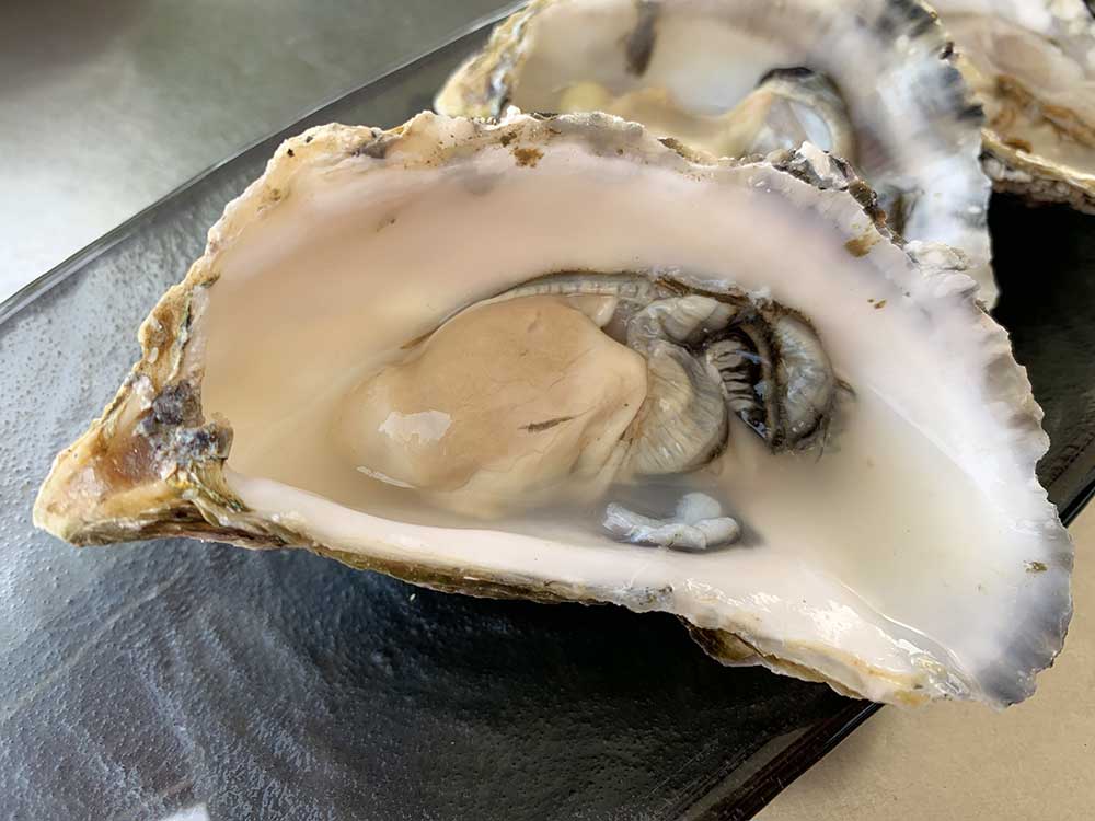 Dónde comer en Altea - Ostras en Ca Jaume