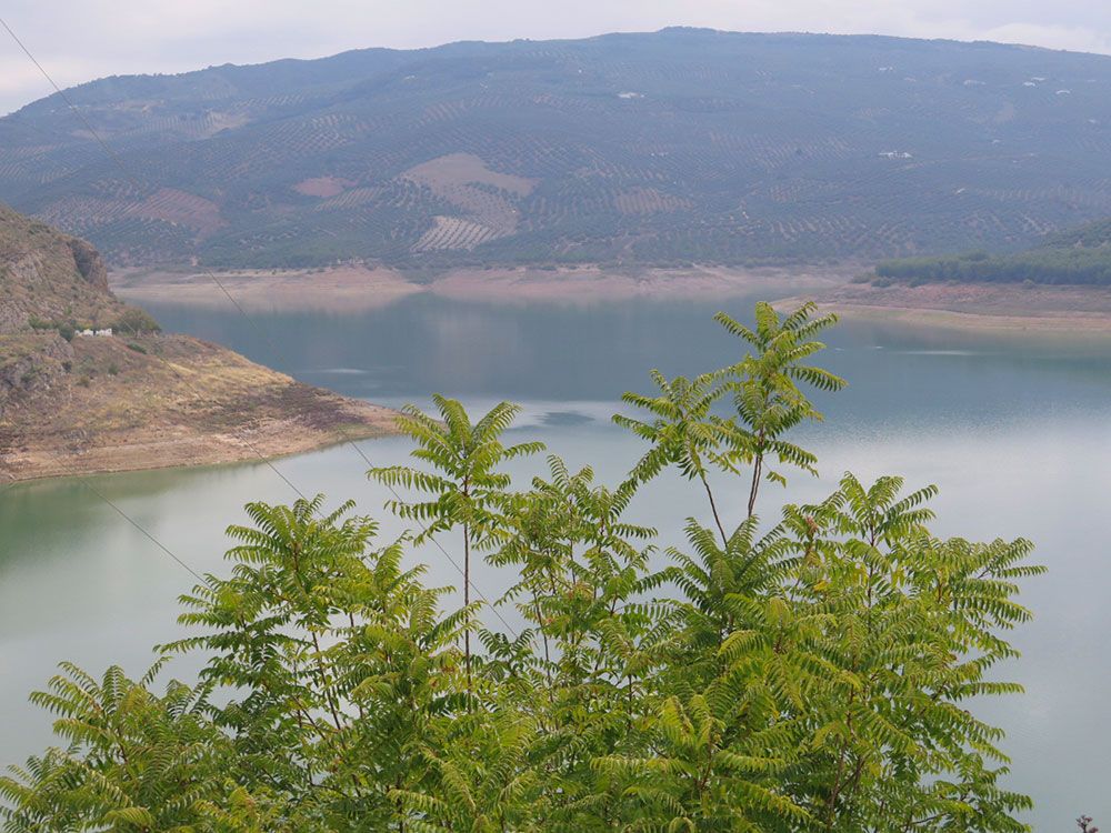 Qué ver en Iznájar - Embalse